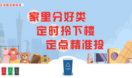 垃圾分类宣传视频,守护绿色家园——视频深度解读