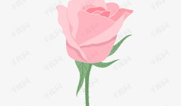 玫瑰动漫,绽放青春，描绘梦想的动漫世界